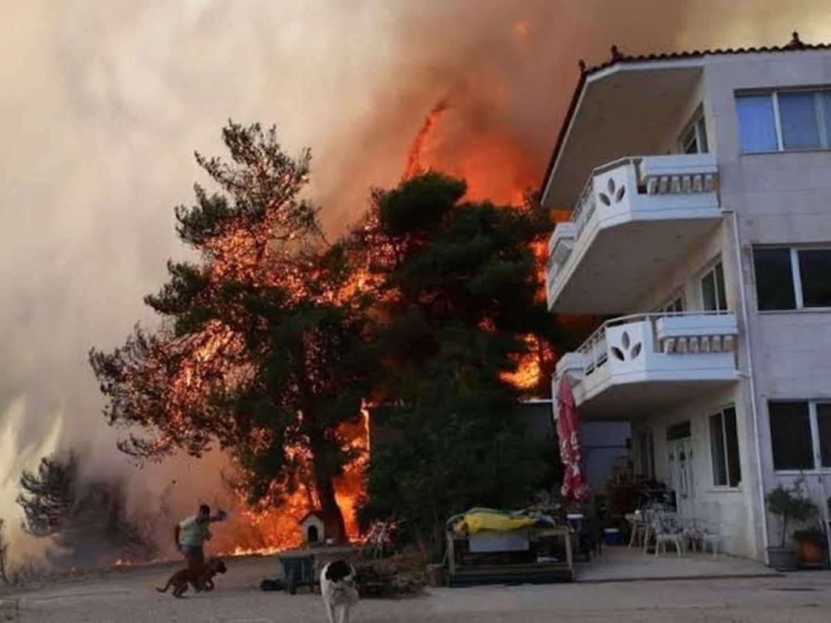 &Alpha;&nu;&alpha;&sigma;&tau;&omicron;&lambda;ή &pi;&rho;ά&xi;&epsilon;&omega;&nu; &alpha;&nu;&alpha;&gamma;&kappa;&alpha;&sigma;&tau;&iota;&kappa;ή&sigmaf; &epsilon;&kappa;&tau;έ&lambda;&epsilon;&sigma;&eta;&sigmaf; &gamma;&iota;&alpha; &pi;&upsilon;&rho;ό&pi;&lambda;&eta;&kappa;&tau;&omicron;&upsilon;&sigmaf; &tau;&omicron;&upsilon; &kappa;&alpha;&lambda;&omicron;&kappa;&alpha;&iota;&rho;&iota;&omicron;ύ