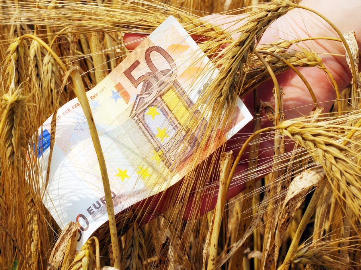 &Alpha;&gamma;&rho;&omicron;&tau;&iota;&kappa;έ&sigmaf; &epsilon;&pi;&iota;&delta;&omicron;&tau;ή&sigma;&epsilon;&iota;&sigmaf;: &Sigma;&tau;&omicron; &mu;&iota;&kappa;&rho;&omicron;&sigma;&kappa;ό&pi;&iota;&omicron; &tau;&eta;&sigmaf; &Kappa;&omicron;&mu;&iota;&sigma;&iota;ό&nu; &tau;&alpha; &beta;&iota;&omicron;&lambda;&omicron;&gamma;&iota;&kappa;ά