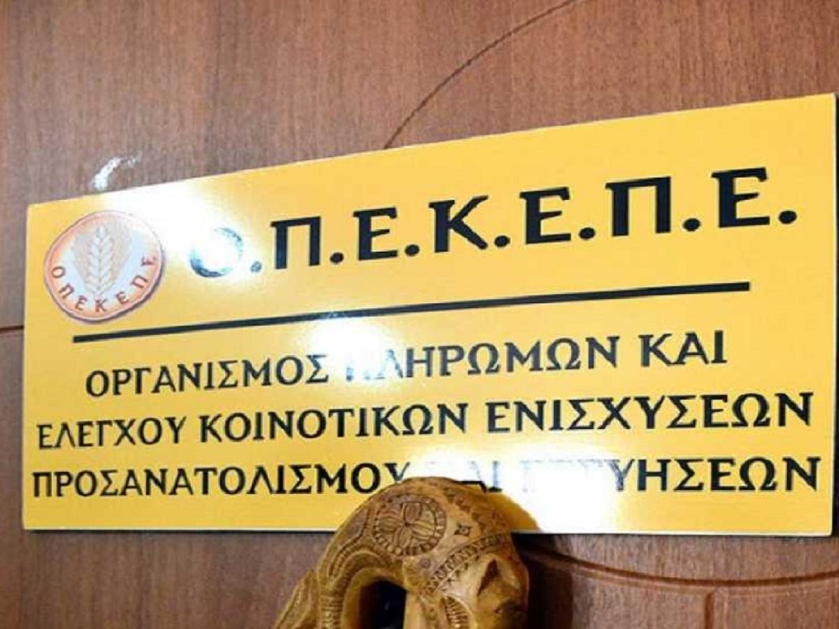 ΟΠΕΚΕΠΕ: Την ενοχή 22 κατηγορουμένων ζήτησε ο εισαγγελέας – Aftodioikisi.gr
