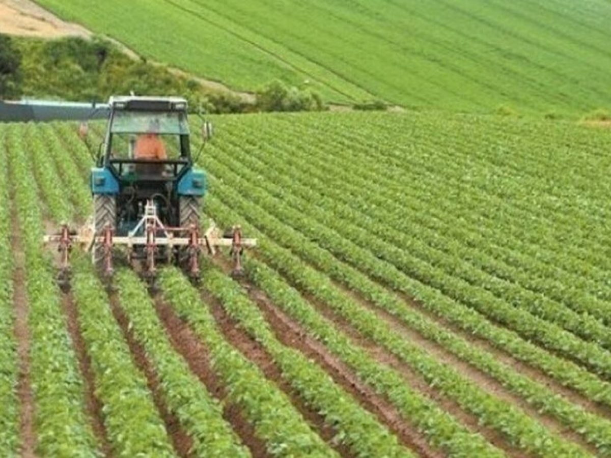 &Sigma;&epsilon; &alpha;&delta;&iota;έ&xi;&omicron;&delta;&omicron; &omicron;&iota; &alpha;&gamma;&rho;ό&tau;&epsilon;&sigmaf; &ndash; 67.000 &epsilon;&gamma;&kappa;&alpha;&tau;έ&lambda;&epsilon;&iota;&psi;&alpha;&nu; &tau;&omicron; &epsilon;&pi;ά&gamma;&gamma;&epsilon;&lambda;&mu;&alpha; &lambda;ό&gamma;&omega; &kappa;ό&sigma;&tau;&omicron;&upsilon;&sigmaf; &pi;&alpha;&rho;&alpha;&gamma;&omega;&gamma;ή&sigmaf;