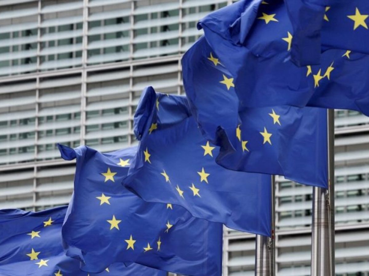 &Omicron; &pi;&alpha;&rho;&alpha;&lambda;&omicron;&gamma;&iota;&sigma;&mu;ό&sigmaf; &tau;&eta;&sigmaf; &Epsilon;&Epsilon;, &eta; &epsilon;&nu;&epsilon;&rho;&gamma;&epsilon;&iota;&alpha;&kappa;ή &kappa;&rho;ί&sigma;&eta; &kappa;&alpha;&iota; &eta;&hellip; &kappa;ά&lambda;&pi;&eta;